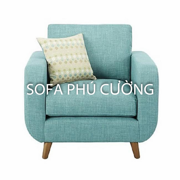 Những vấn đề cần kiểm tra sofa đơn Vĩnh Long trước khi mua hàng 1