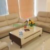 Chọn sofa da bò nhập khẩu Malaysia cho chung cư màu sáng hay tối? 2